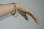 bracelet2_mammoth_2001.jpg (9773 bytes)