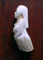 female2_sperm_ivory.jpg (17729 bytes)