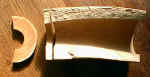 mammoth_tusk.jpg (33164 bytes)