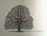 marker_comfort_maple_1986.jpg (26193 bytes)