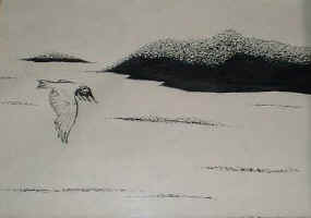 seascape_pen&ink_1981.jpg (11820 bytes)