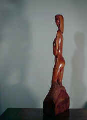 slender4_fir_1997.jpg (18180 bytes)